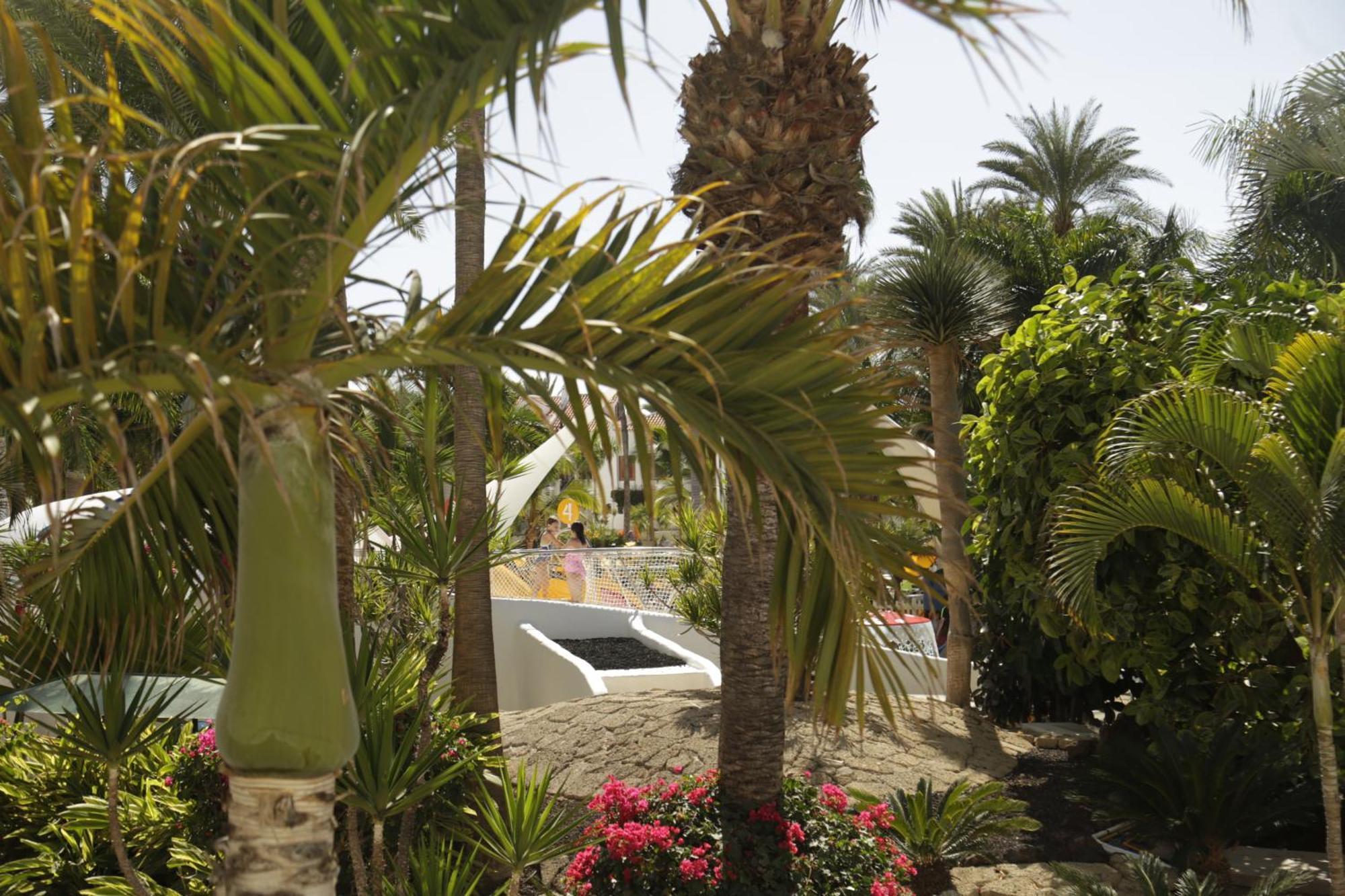 Parque Santiago 3 Luxery Apartment, Playa las Américas, Arona, Tenerife Playa de las Americas  Esterno foto